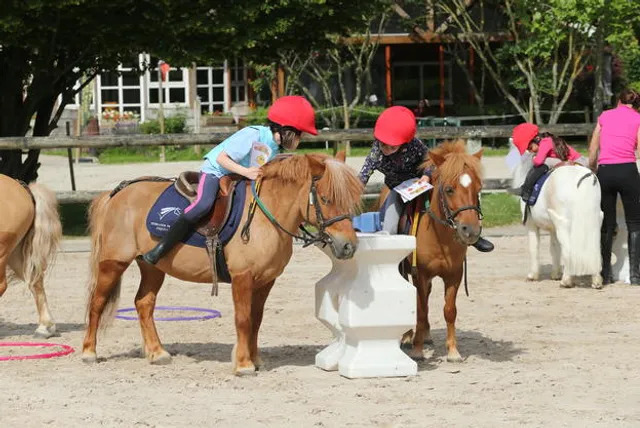 Camp équitation enfant de 6 à 12 ans